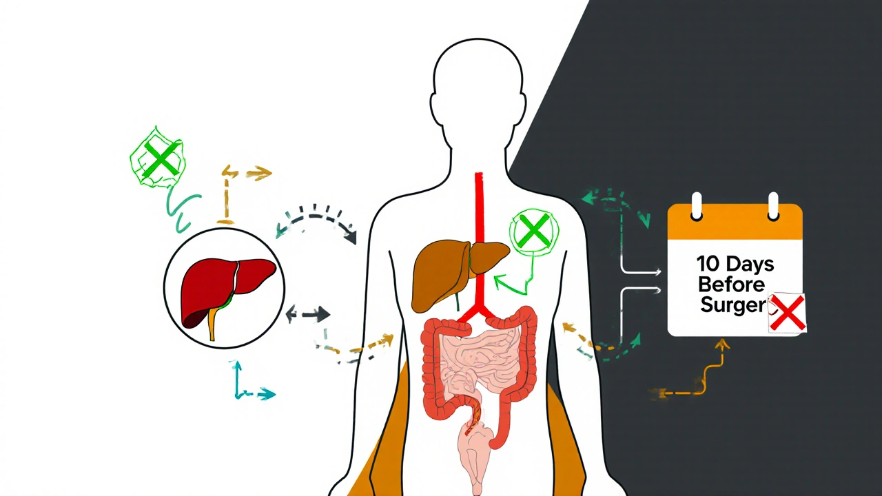 Human silhouette with internal organs showing safe and dangerous drug interactions