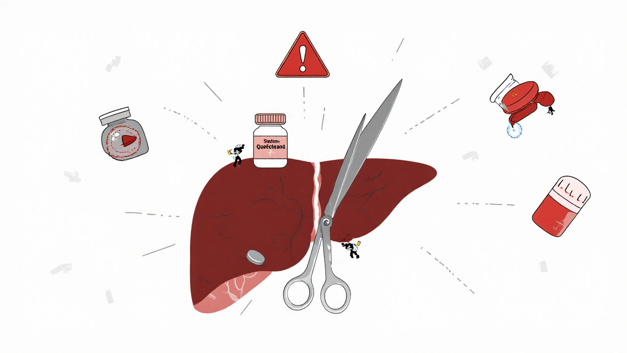 Quercetin and Medications: How Supplement Use Can Raise Drug Levels and Risk Side Effects