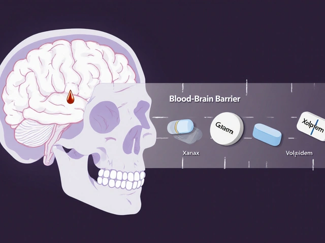 GABA Supplements and Sedatives: What You Need to Know About CNS Depression Risk