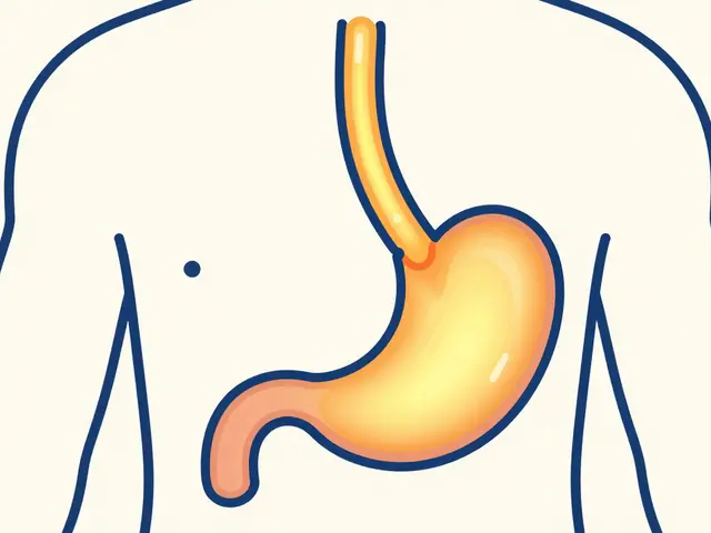 Chronic GERD and Esophageal Cancer Risk: Red Flags to Watch For