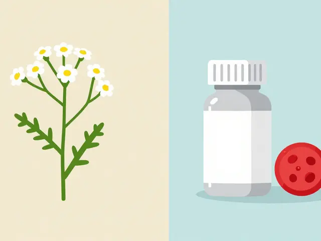 Feverfew and Anticoagulants: Bleeding Risk Assessment