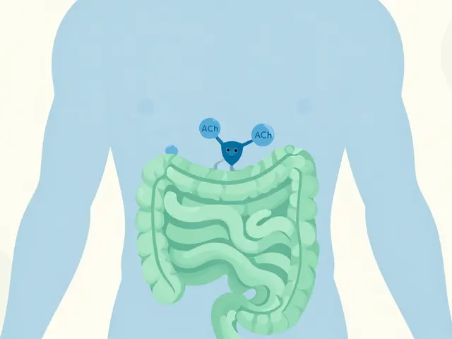 Antispasmodics: Navigating Anticholinergic Drug Interactions Safely