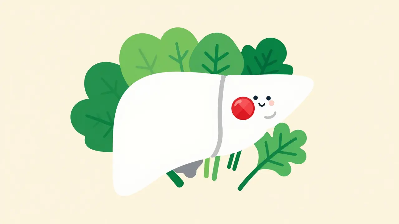 Vitamin K Foods and Warfarin: A Practical Guide to Stable INR